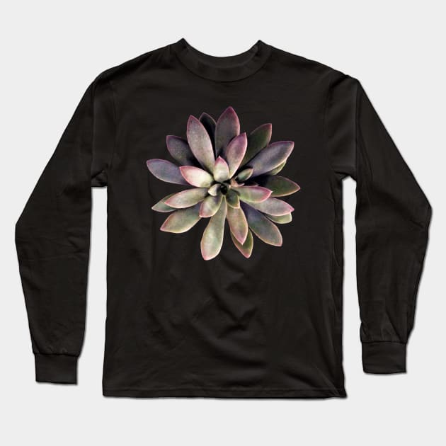 Suculenta Echeveria Carnicolor Long Sleeve T-Shirt by NerdsbyLeo